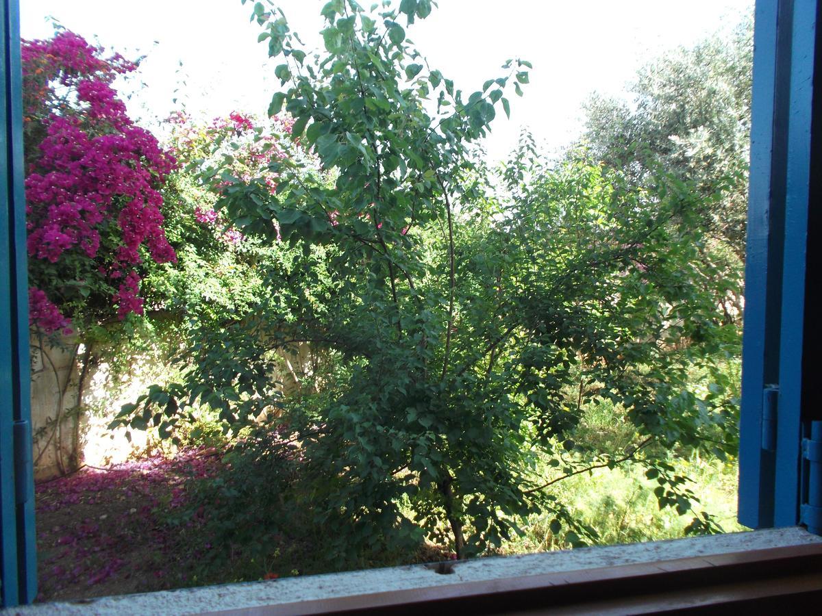 Le Jardin D'habiba *